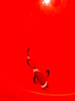 IMG_9361.jpeg