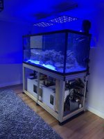 IMG_3503.jpeg