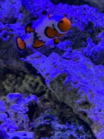 IMG_0931.jpeg