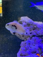 IMG_0934.jpeg