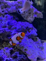 IMG_0925.jpeg