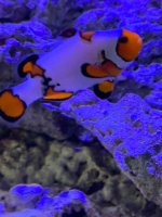 IMG_0921.jpeg