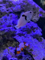 IMG_0924.jpeg