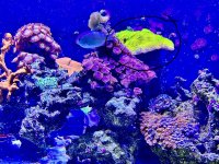 IMG_4572.jpeg