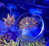 IMG_8577.jpeg