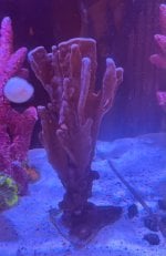 IMG_5284.jpg