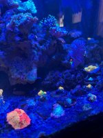 IMG_2666.jpeg