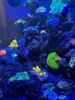 IMG_2669.jpeg