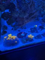 IMG_2670.jpeg