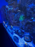 IMG_2671.jpeg