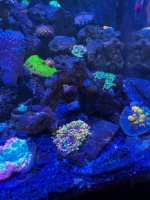 IMG_2672.jpeg
