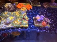 IMG_4407.jpeg