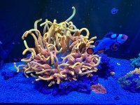 IMG_8121.jpeg