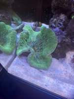 IMG_9459.jpeg