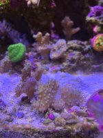 IMG_4486.jpeg