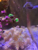 IMG_4485.jpeg
