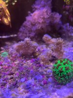 IMG_4484.jpeg