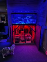 IMG_6533.jpeg