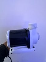 IMG_5689.jpeg