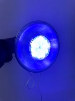 IMG_5690.jpeg