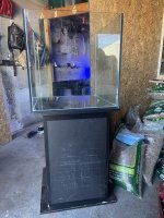 IMG_0058.jpeg