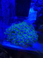 IMG_4289.jpeg