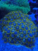 IMG_4141.jpeg