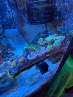 IMG_2792.jpeg