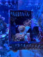 IMG_2793.jpeg