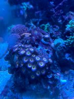IMG_2798.jpeg