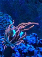 0B03556A-4A89-47A8-82A9-E00E332D3080.jpeg
