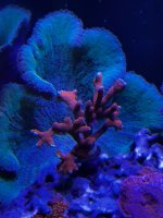 IMG_0505.jpeg
