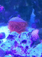 20241110_131102.jpg