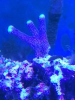 20241110_131037.jpg
