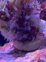IMG_5298.jpeg