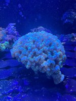 IMG_1507.jpeg IMG_1507.jpeg