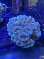 IMG_1506.jpeg IMG_1506.jpeg