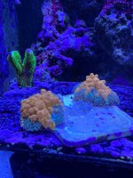 IMG_1499.jpeg IMG_1499.jpeg