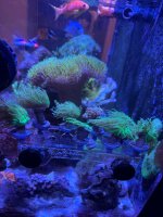 IMG_0865.jpeg