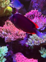 IMG_3811.jpeg