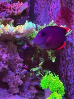 IMG_3813.jpeg