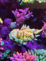 IMG_3779.jpeg