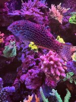 IMG_3785.jpeg
