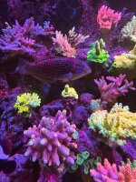 IMG_3786.jpeg