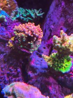 IMG_3790.jpeg