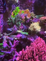 IMG_3789.jpeg