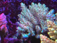 IMG_3793.jpeg