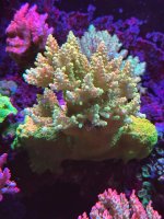 IMG_3792.jpeg