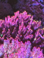 IMG_3795.jpeg