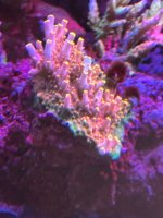 IMG_3791.jpeg